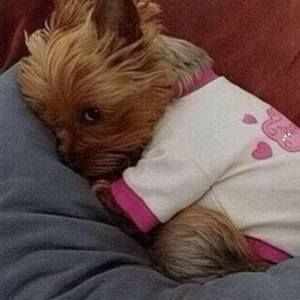 Meet your Posher, Katherine